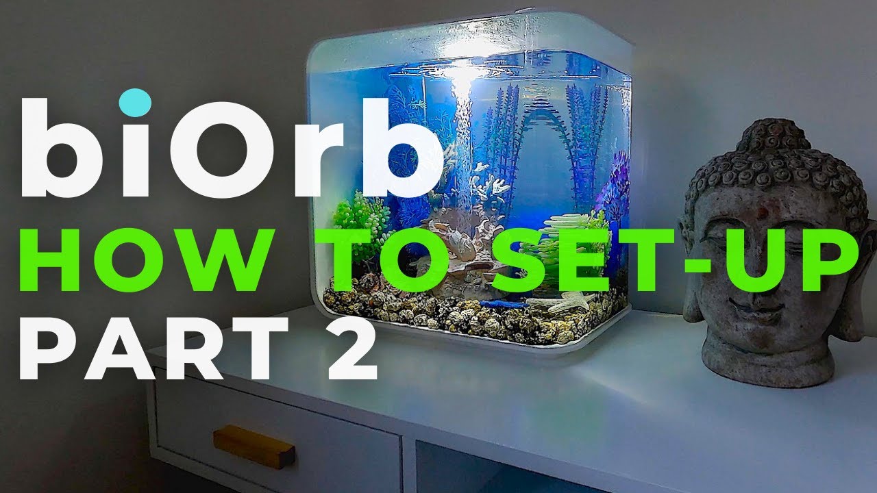 biOrb Aquarium   |  How to set-up a biOrb from new  | PART TWO