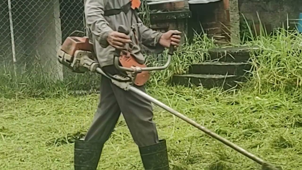 Segunda parte da limpeza do quintal sítio 🌱💚
