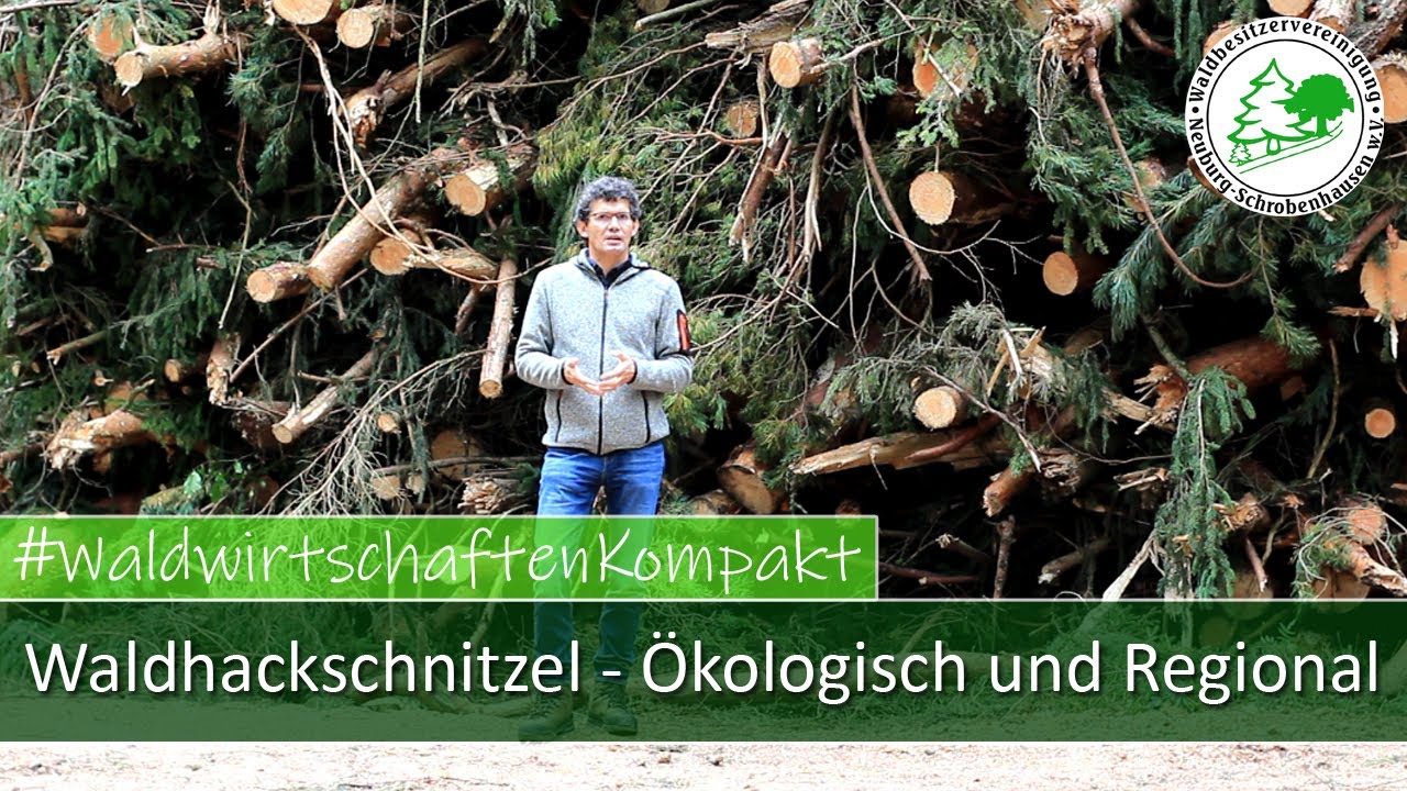Waldhackschnitzel - Ökologisch und Regional