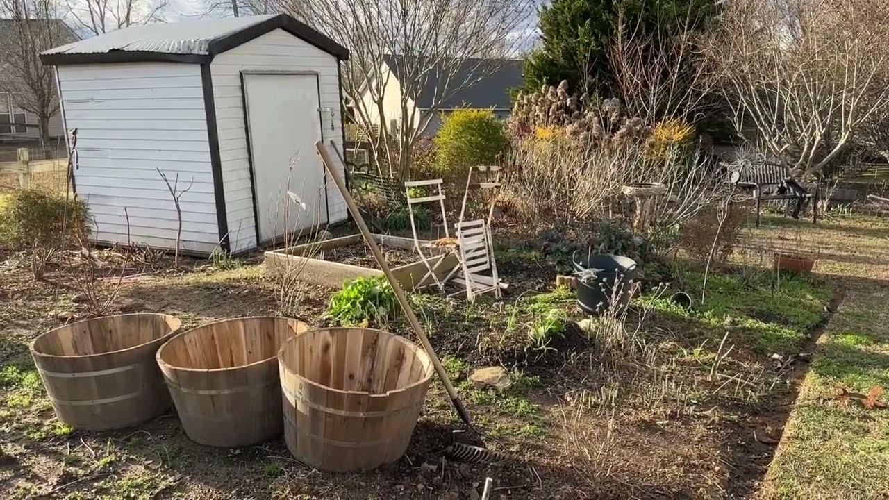 Fresh Garden Edges 🌱🌸 Cottage Garden Tour 🌱🌸 Garden Walk