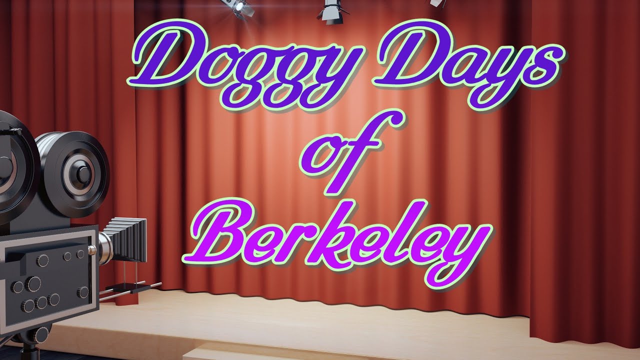 Wednesday 04/03/2026 UHD 30fps 