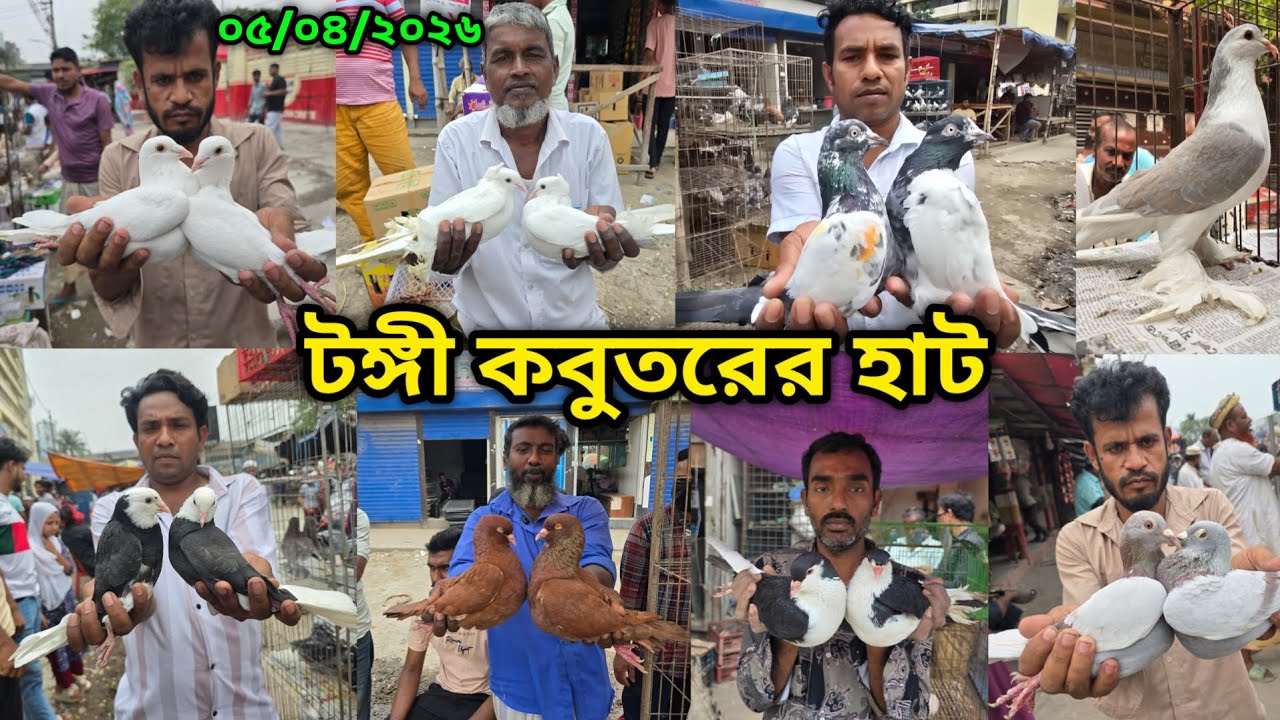 প্রচন্ড গরমেও জমজমাট টঙ্গী হাট | Tongi kobutor hat 2026 | Biggest Pigeon Market in Bangladesh 2026