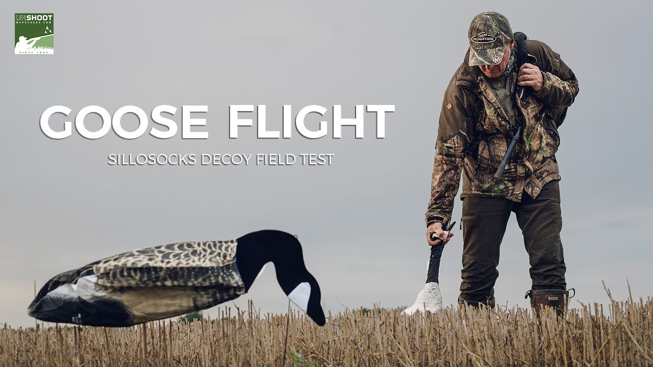 GOOSE FLIGHT - SILLOSOCKS DECOYS FIELD TEST
