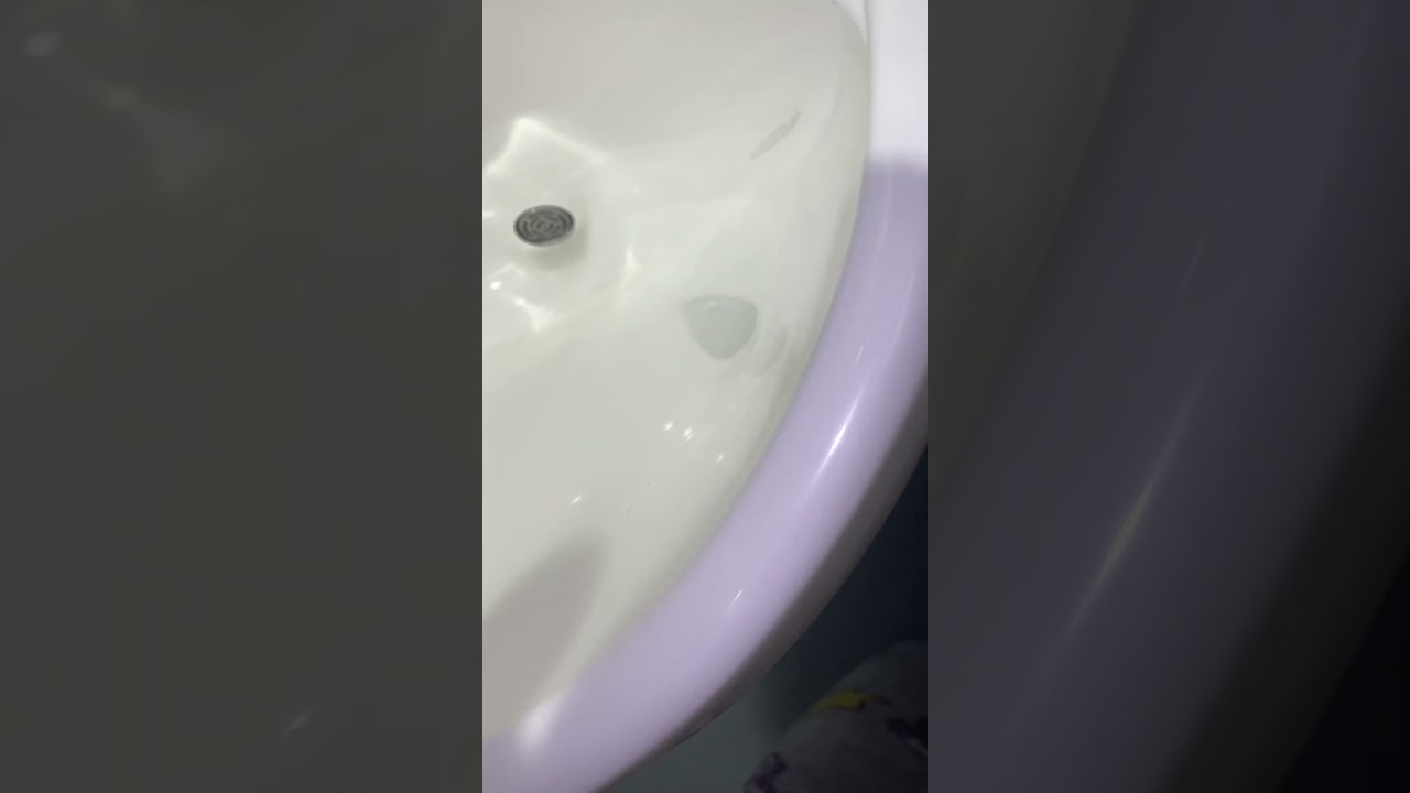 Toilet!