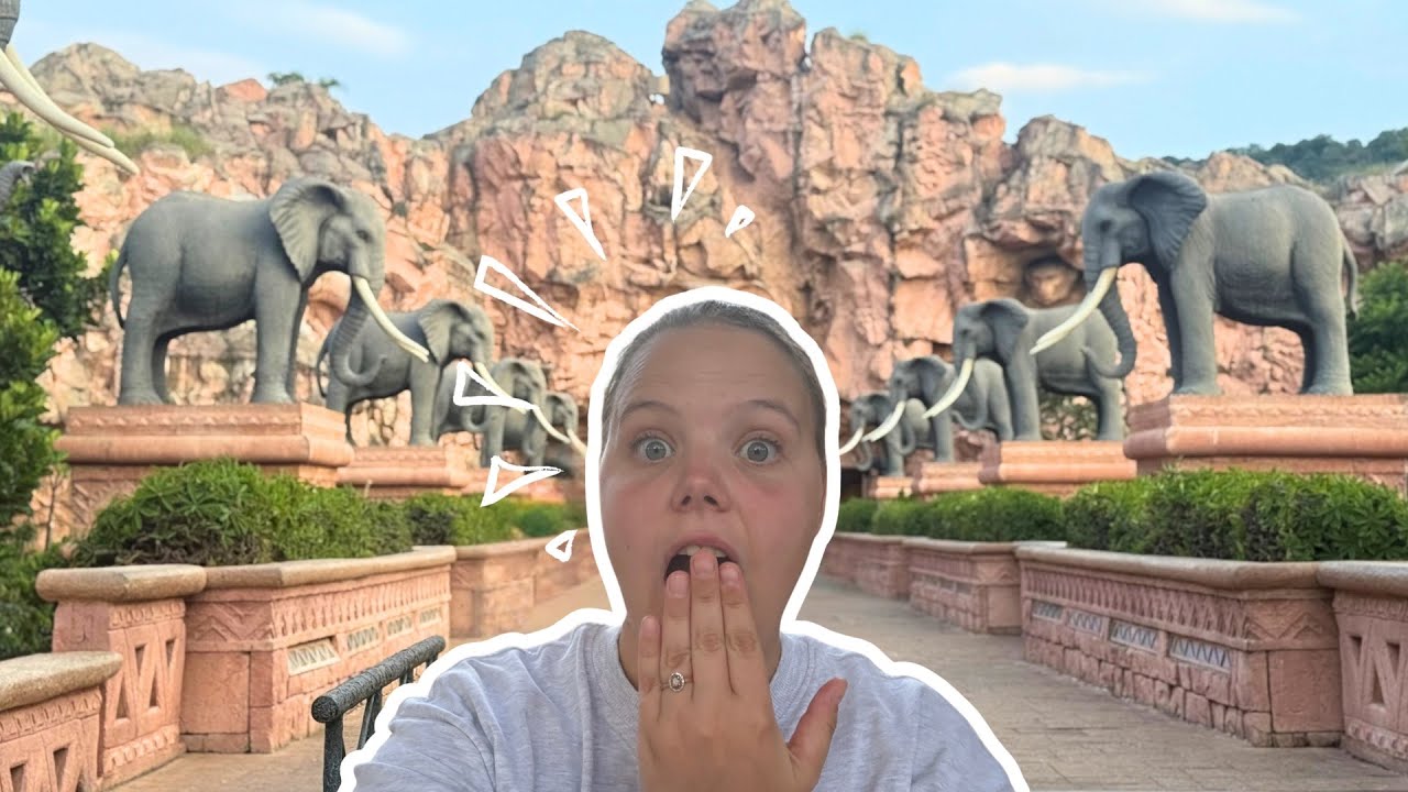 Our Trip To Sun City