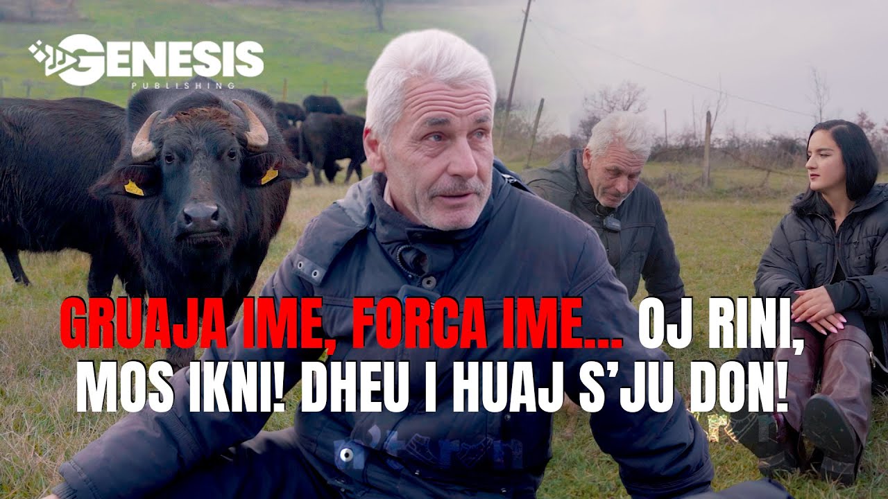 E du gruan ma shumë se gjithçka… oj rini, kthenu! Dheu i gurbetit mbetet gjithmonë i huaj.