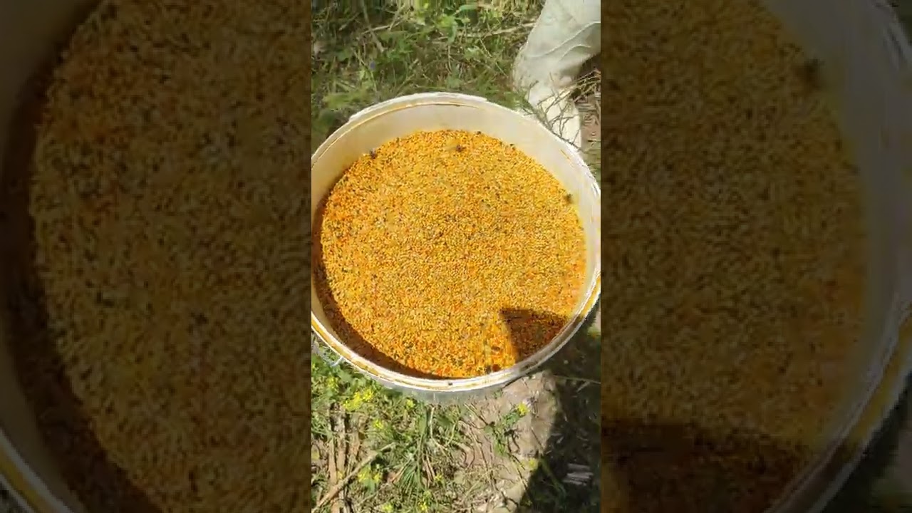 جني حبوب اللقاح طازجة و مختلف الزهور