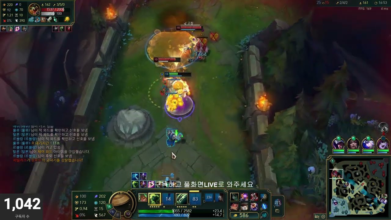 🔝신지드1️⃣