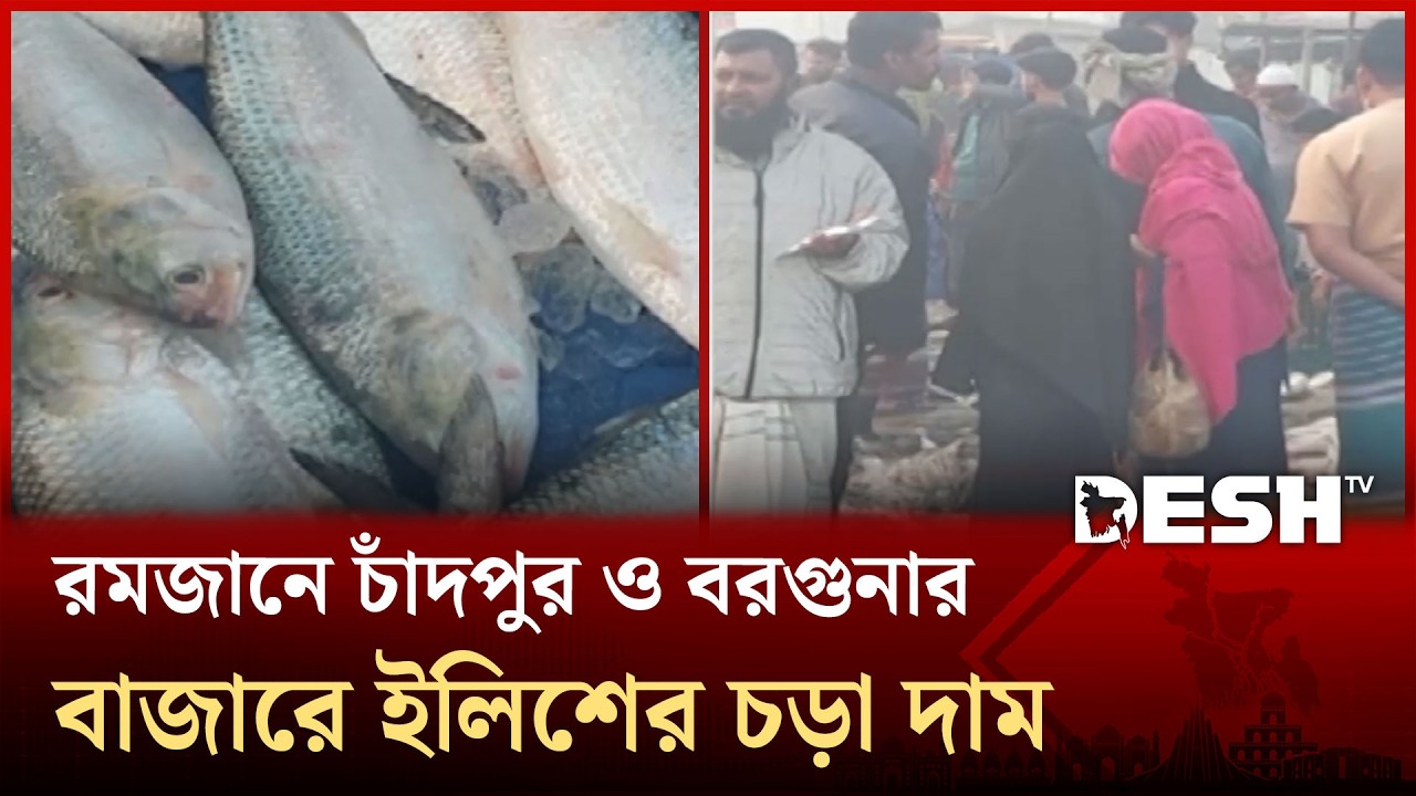 রমজানে চাঁদপুর ও বরগুনার বাজারে ইলিশের চড়া দাম | Desh TV News