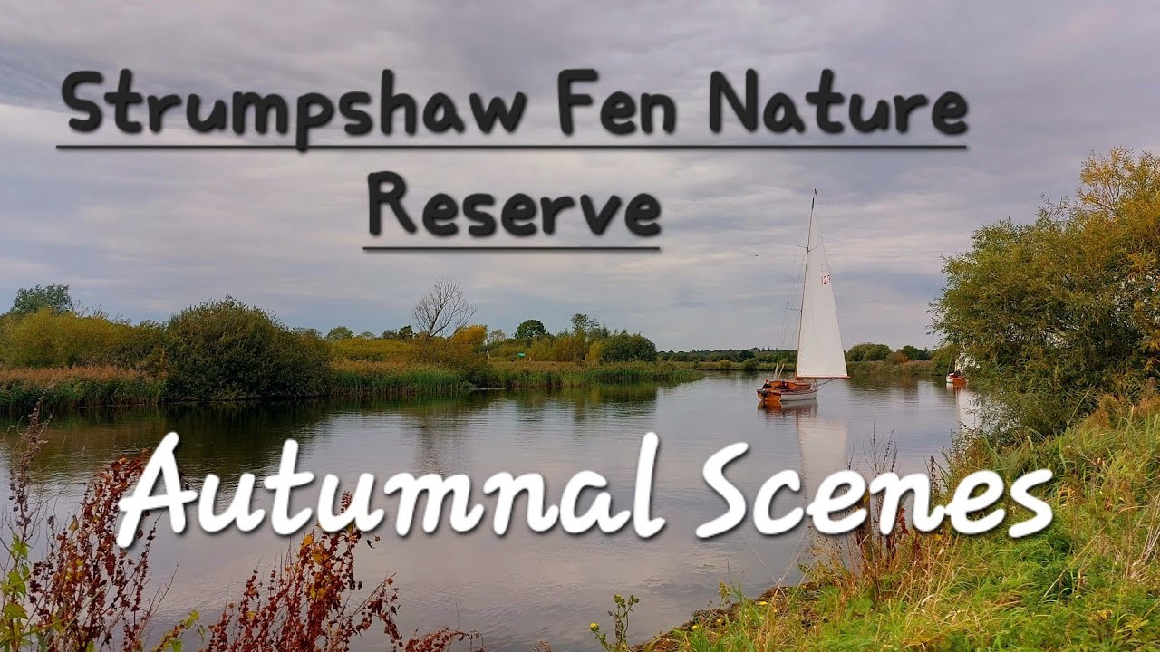 RSPB Strumpshaw Fen Nature Reserve - Autumnal Vibes And Atmospheric Scenes - Walking In Norfolk