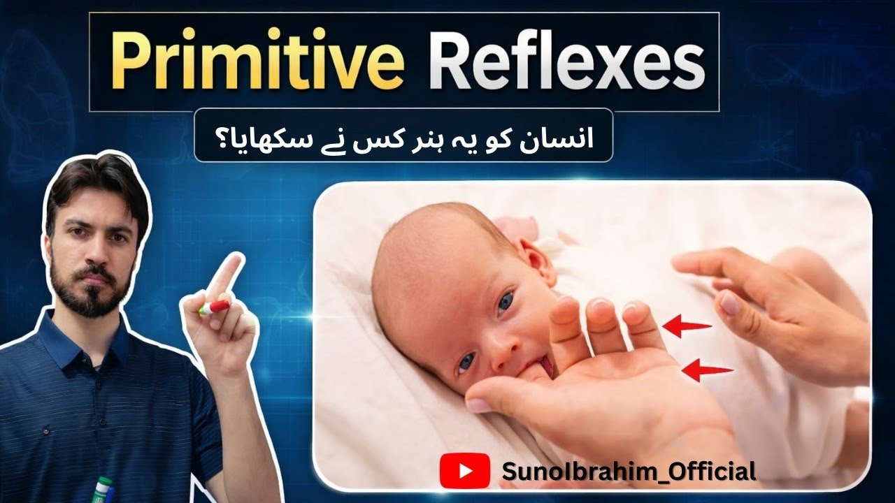 Neonatal Primitive Reflexes | Brainstem Control & Divine Signs Within Us