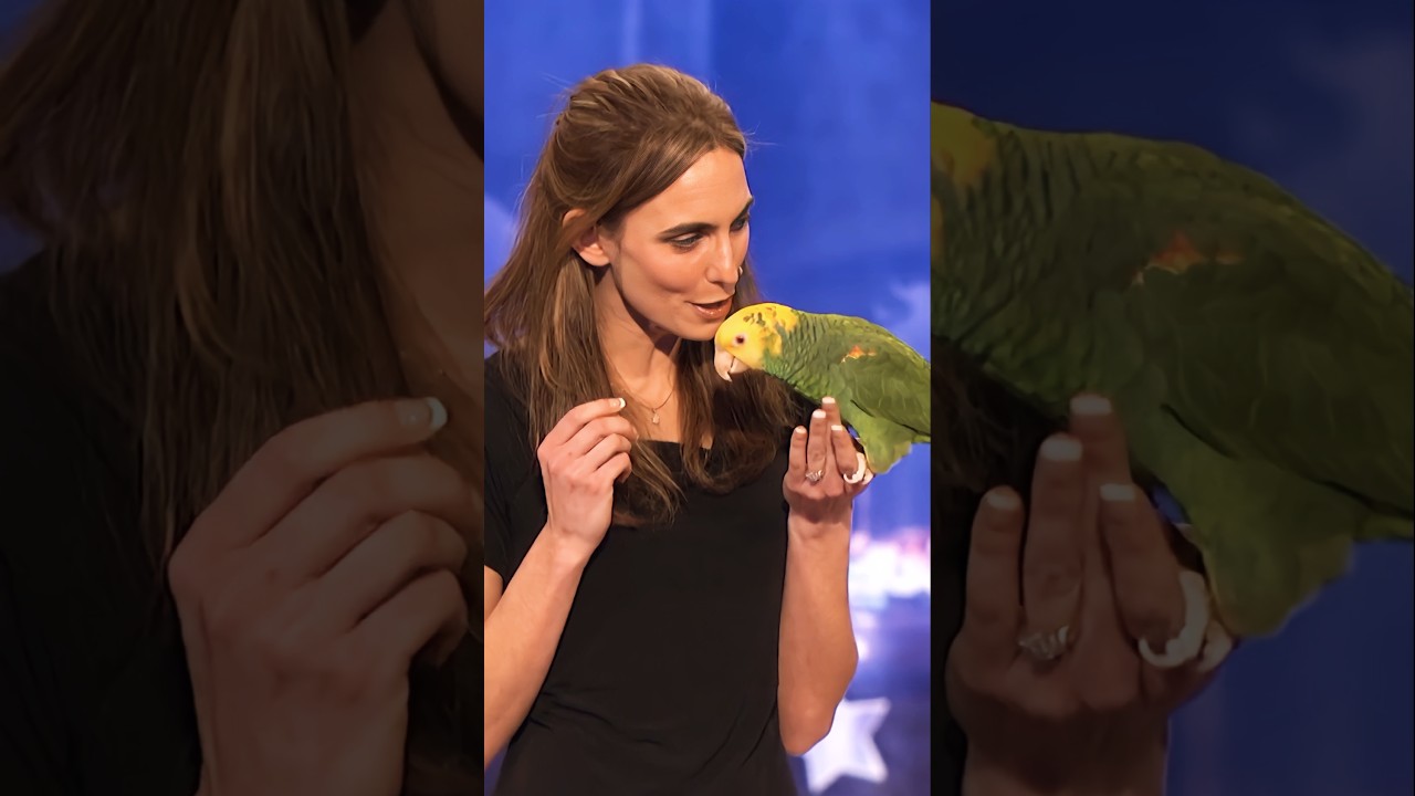 FUNNIEST talking parrot.. EVER! 🦜🤣