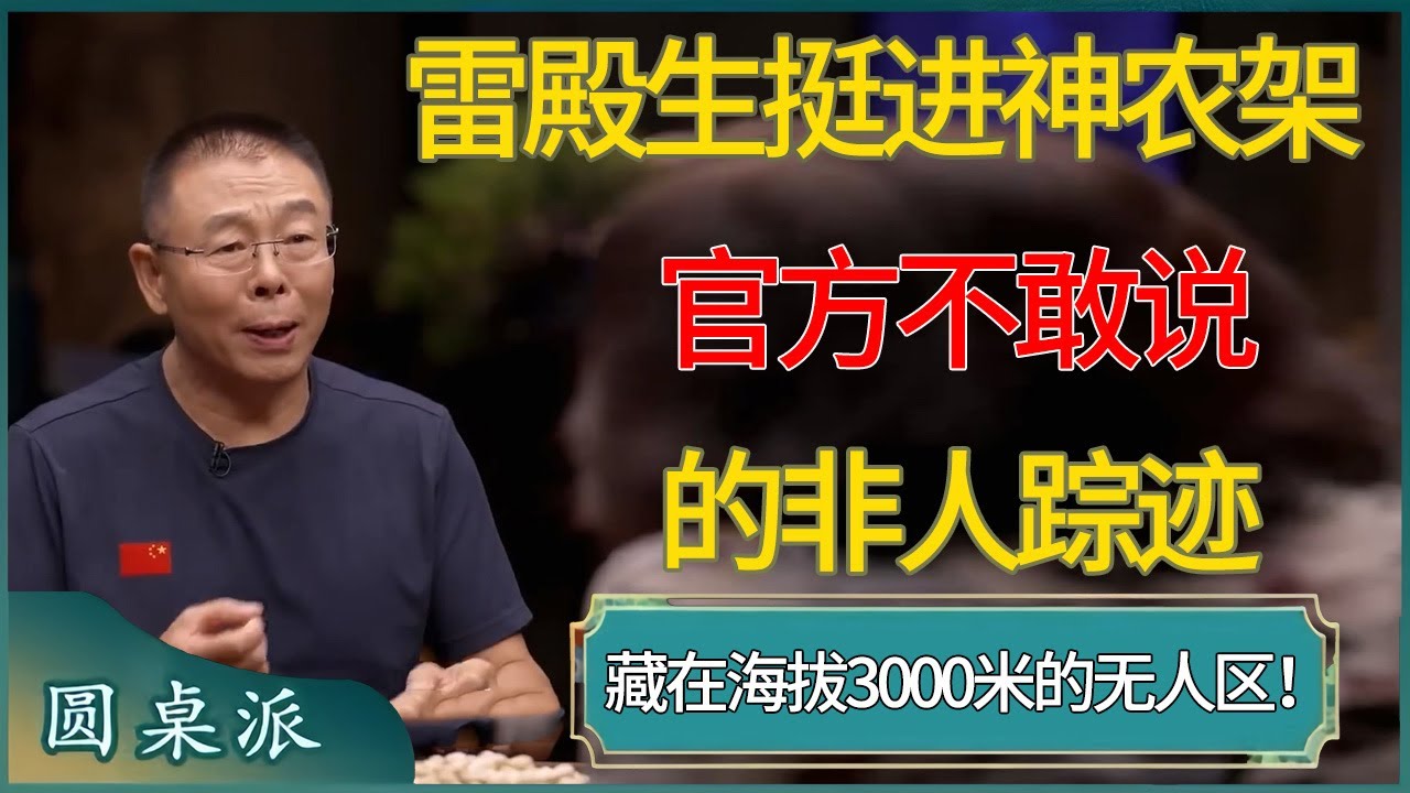 雷殿生挺进神农架：官方不敢说的非人踪迹，竟藏在海拔3000米的无人区！#窦文涛 #梁文道 #马未都 #周轶君 #马家辉 #许子东 #圆桌派  #圆桌派第八季