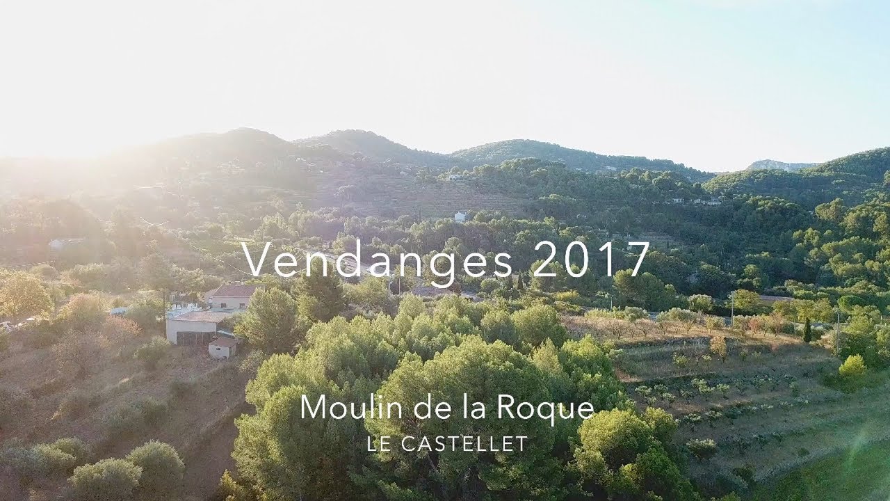 Event | Harvesting grape in Le Castellet (France)