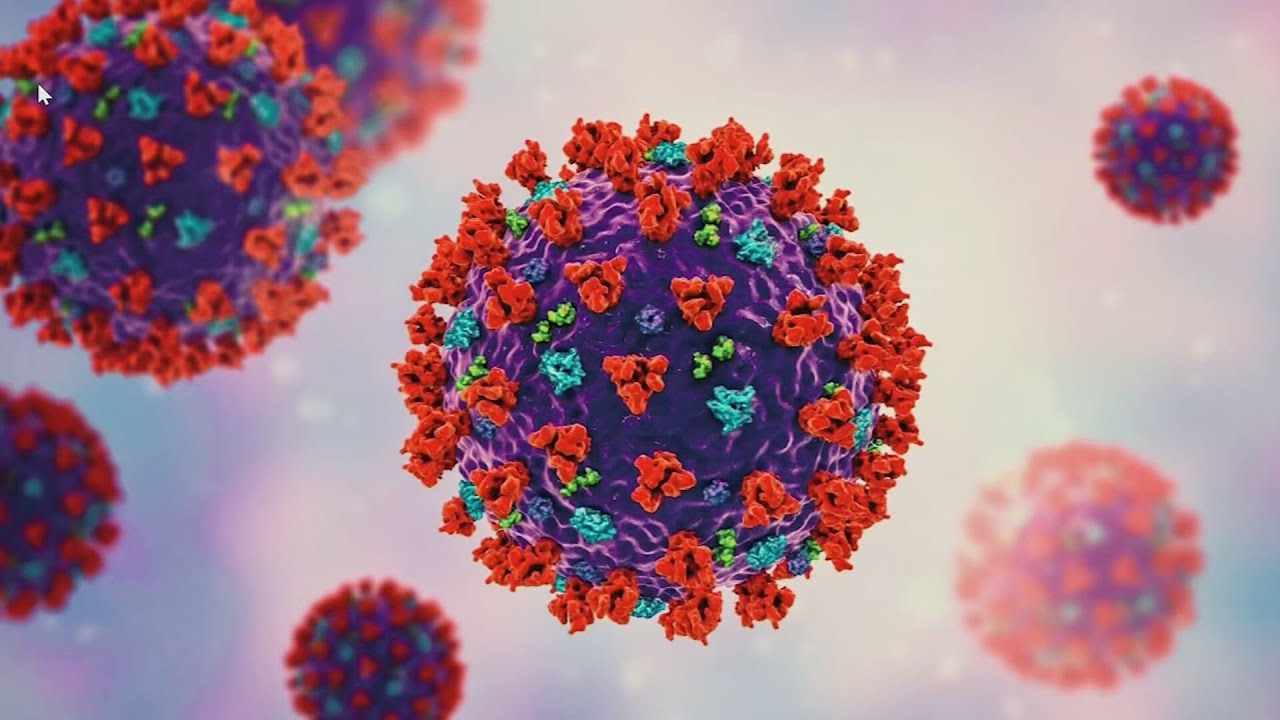 Doctors explain difference between omicron, delta variants