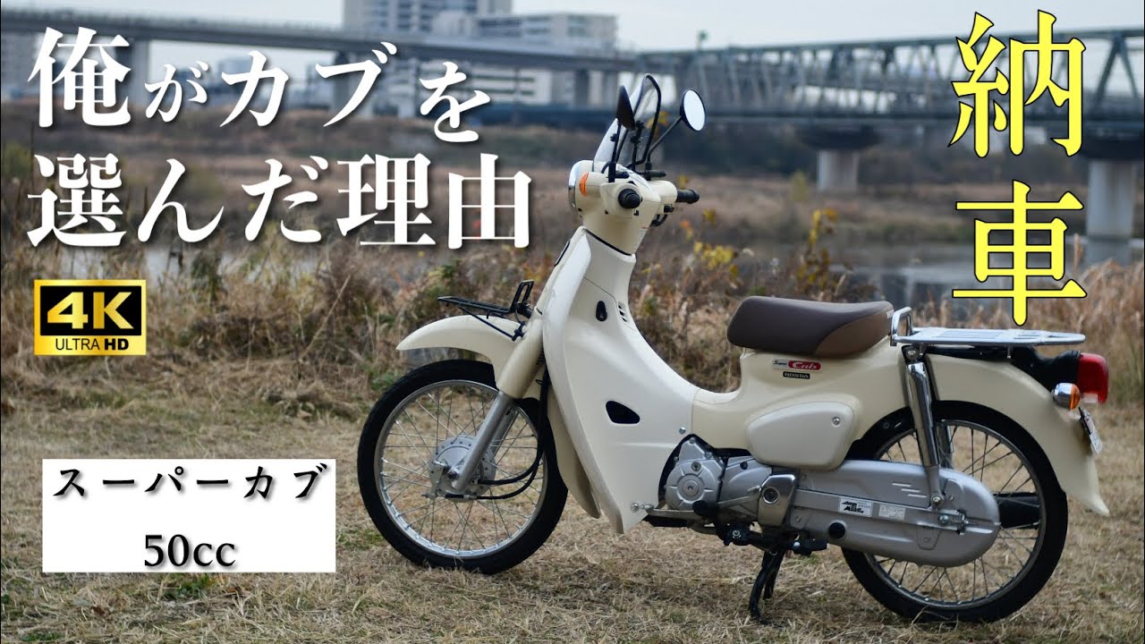 【原付購入】スーパーカブ50納車レビュー　俺がカブを選んだ理由