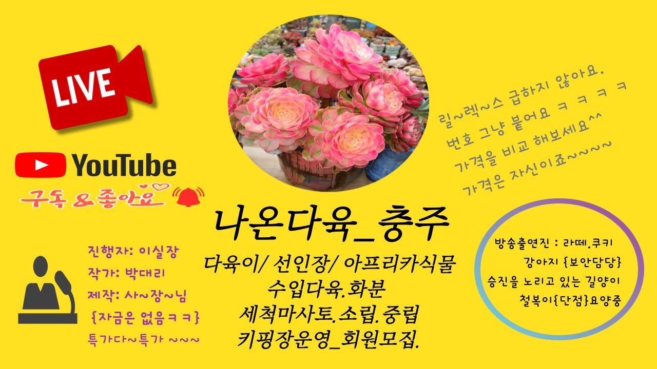 26.02.03(화)제15회 라이브 해요..... 충주_나온다육 잠시 방문 해볼까요~~~~ #다육식물#다육#에어니옴#리톱스#충주다육#국민다육#수입다육