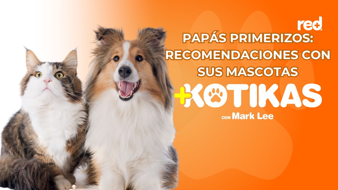 ¿Tu primer 