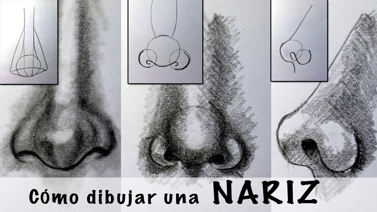 Dibujo a lápiz: Cómo dibujar una nariz