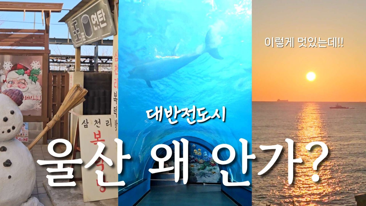 누가 울산을 노잼도시라고 하였는가🌊 | 대반전 울산 여행 맛집 카페 놀거리 하루 코스