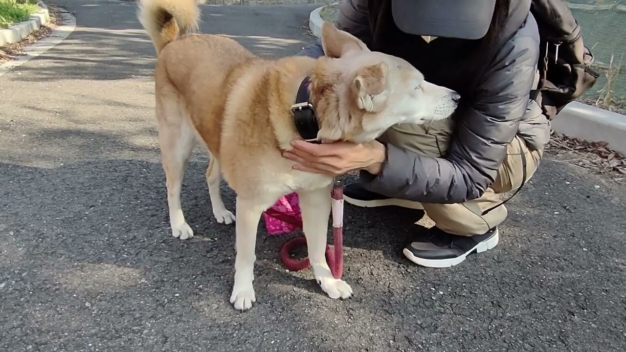 晴天　公園散歩　20260214am