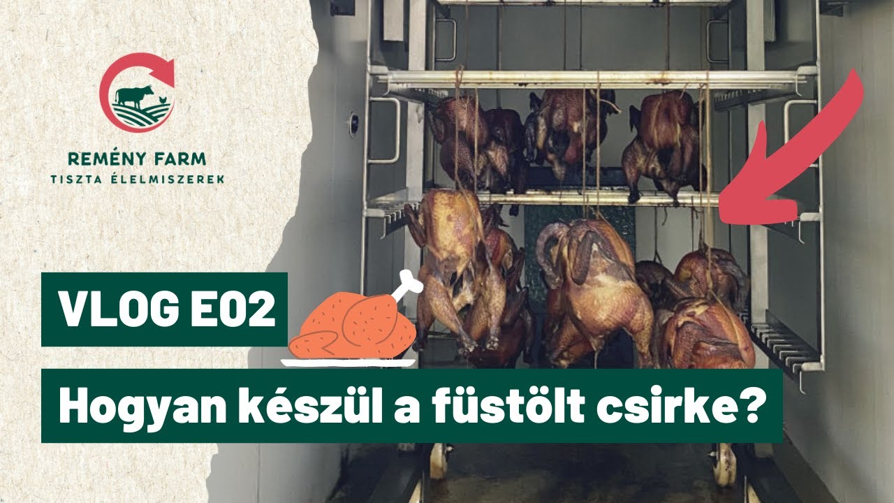 Hogyan készül a füstölt csirke + farm update - VLOG E02