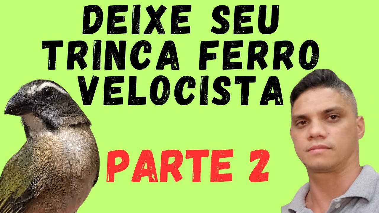 TRINCA FERRO VELOCISTA PARTE 2 ( deixe seu trinca mais r&aacute;pido)