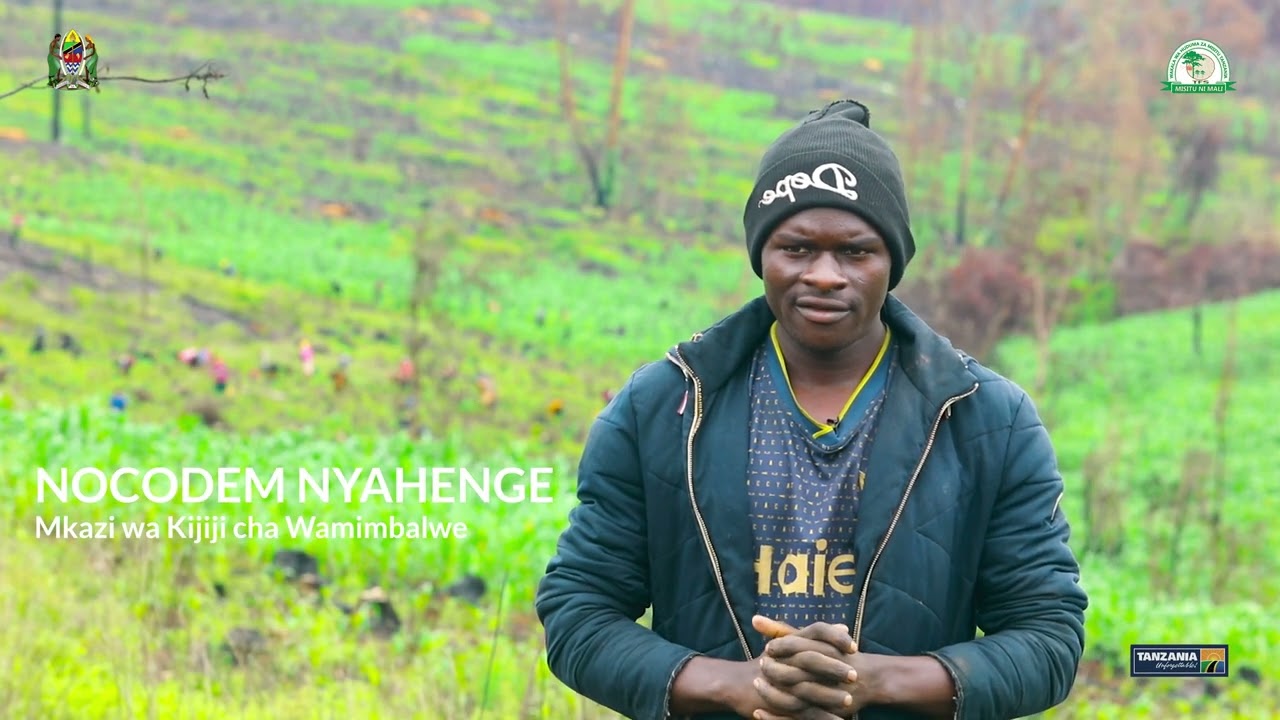 UPANDAJI MITI KATIKA SHAMBA LA MII SAO HILL