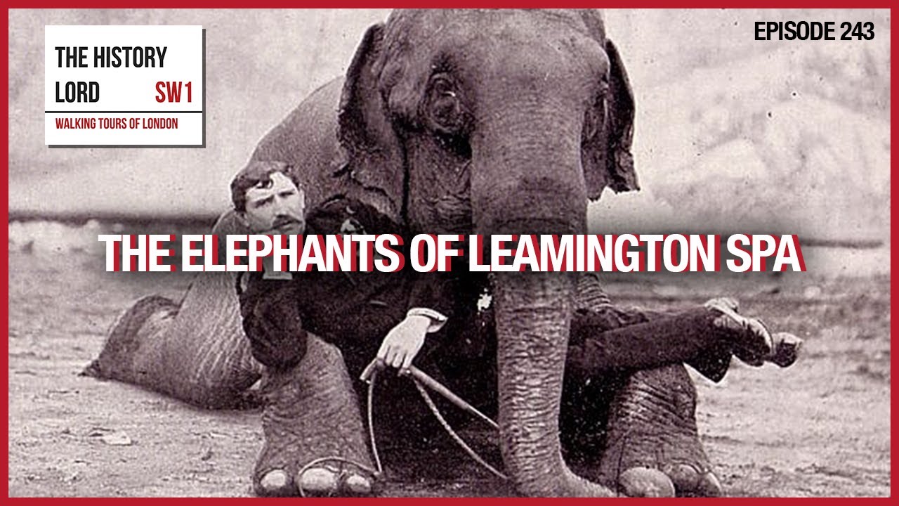 The Elephants Of Leamington Spa