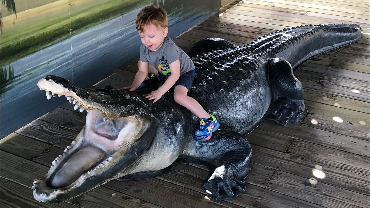 Gator land Orlando Florida 2022