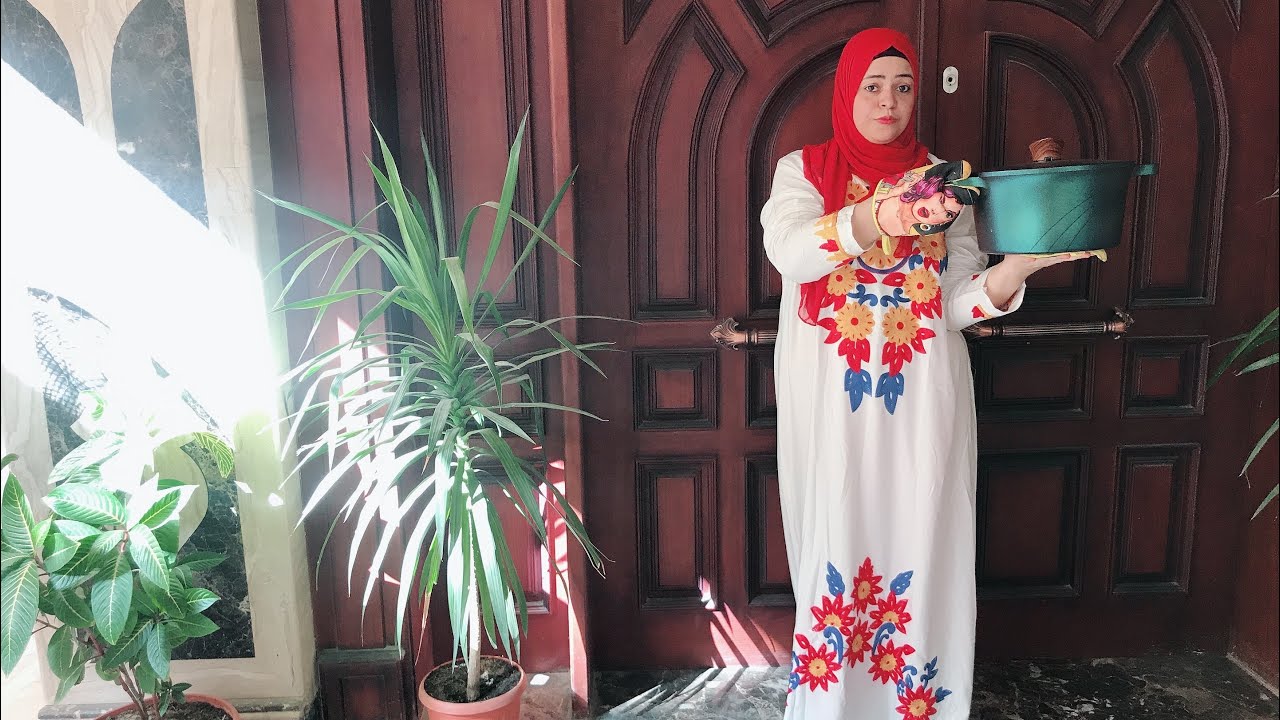 نفسها فيها شلتها من علي السفره ودتهالها سبانخ بالسان العصفور وطاجن بطاطس  وديك بلدي