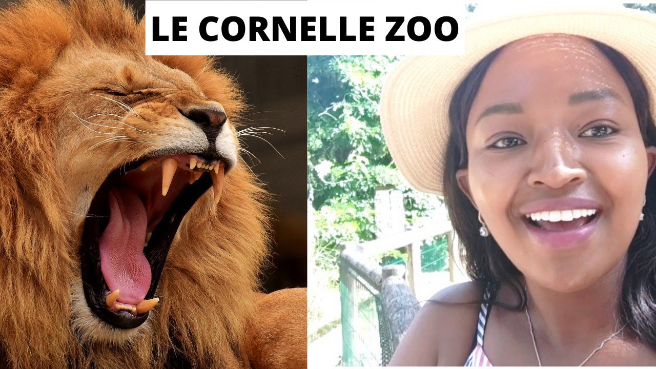 A VISIT TO THE ZOO IN NORTHERN MILAN| LE CORNELLE ZOO #vlog #milanzoo