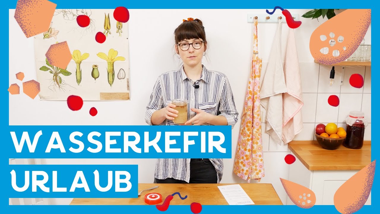 Отправить водный кефир в отпуск I The Water Kefir Hotel