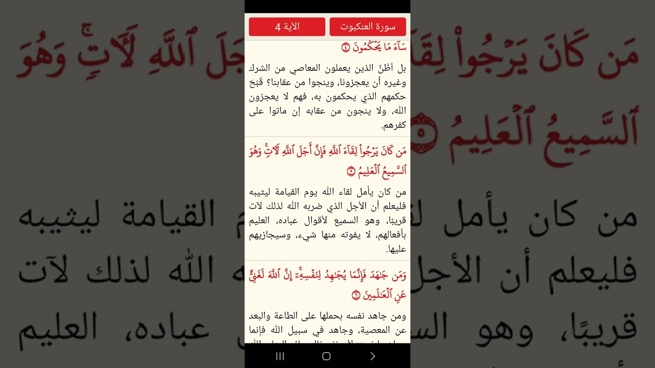 ٢٨ فبراير ٢٠٢٦