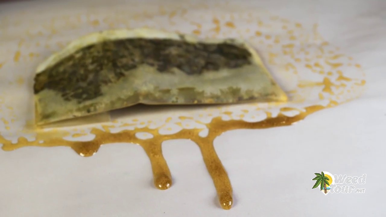 Comercial 2019: Como &eacute; o WeedTour?