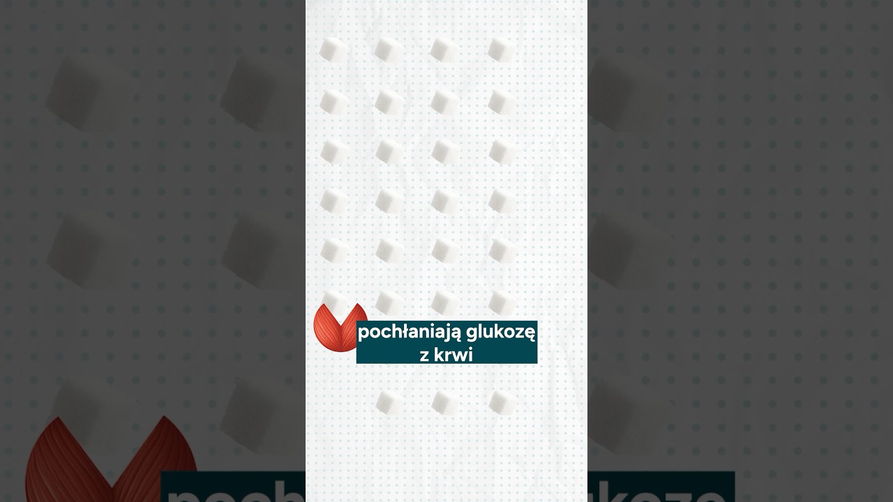 Jak wysiłek fizyczny wpływa na stężenie glukozy w organizmie? #zdrowie #dieta #sport
