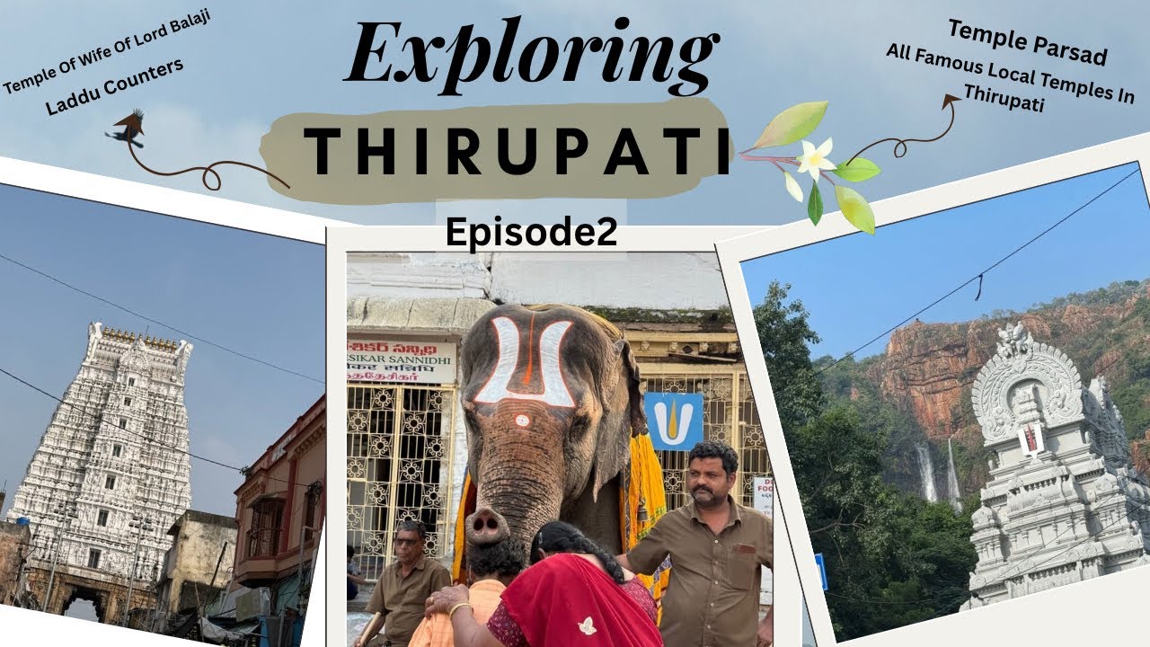 ✨Famous Mandir In Thirupati |Darshan,🙏🏻Prasadam & City Exploration😍