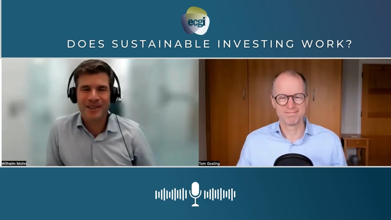 Does Sustainable Investing Work? - Wilhelm Mohn