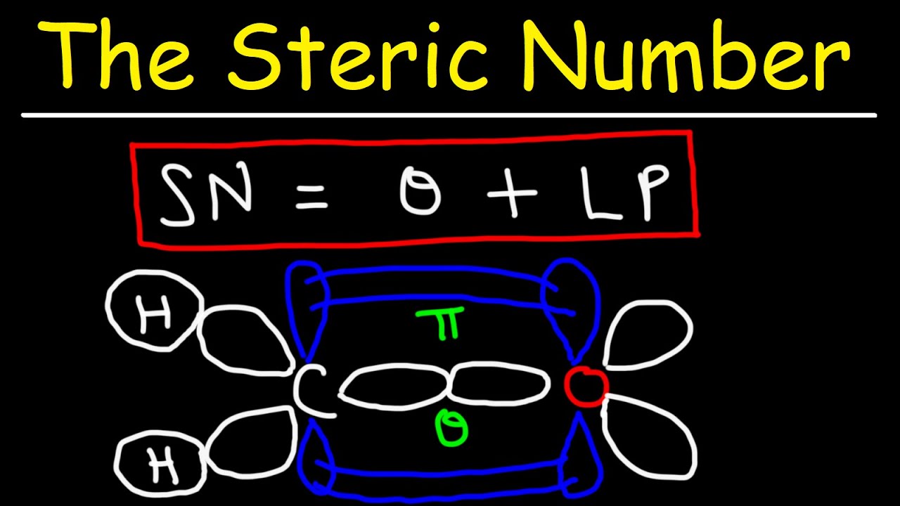 Steric Number, Hybridization, & Orbital Overlap - Organic Chemistry