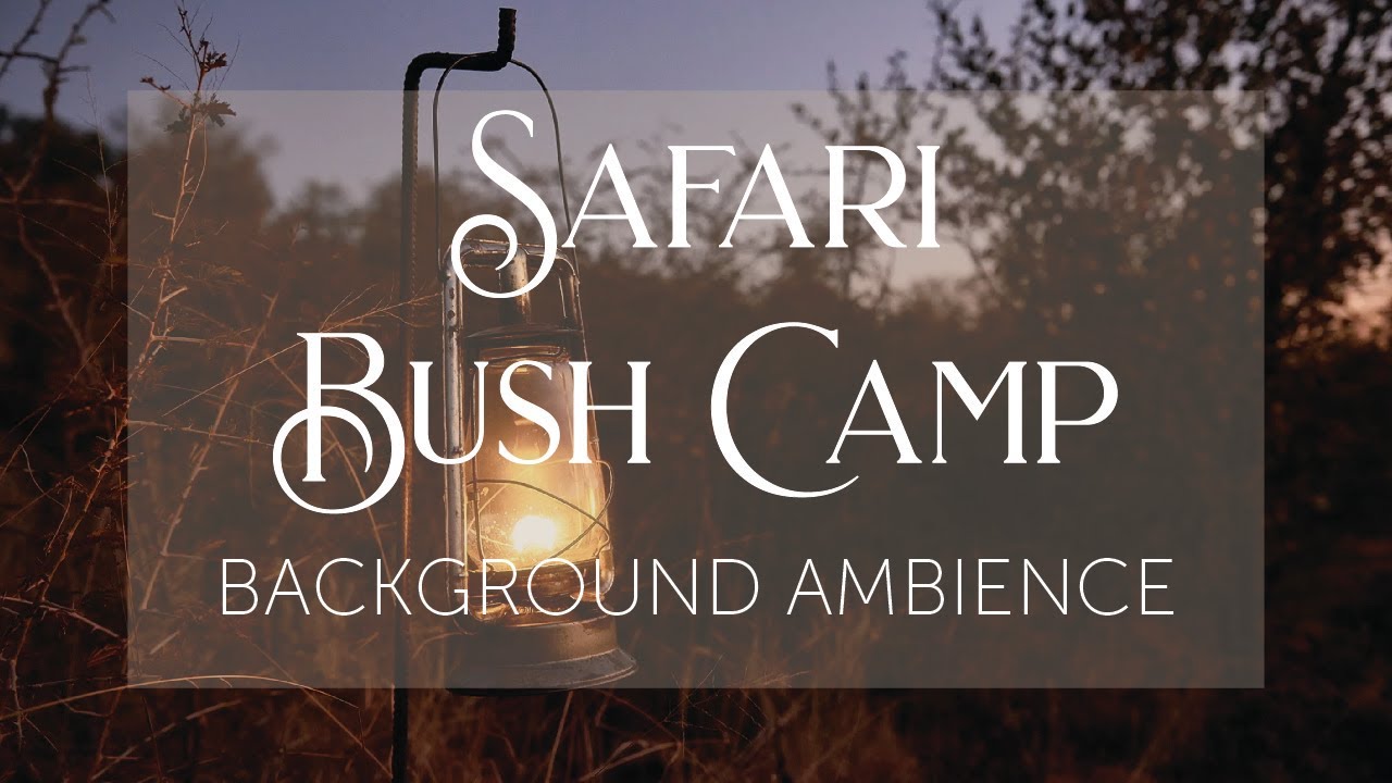 Safari Bush Camp | Campfire Background Ambience