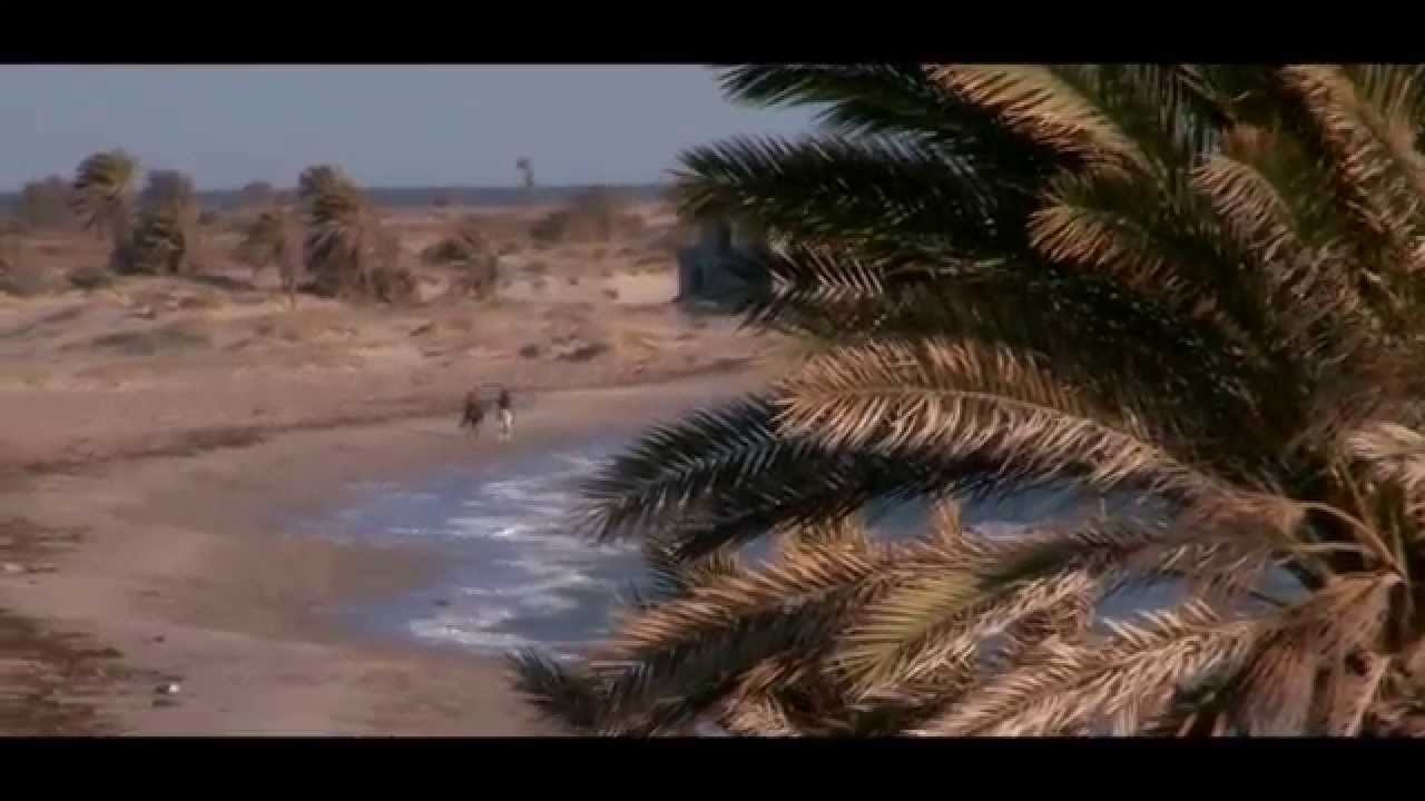 Sahara Ultra trail 100kms del Sahara 2014 Video oficial