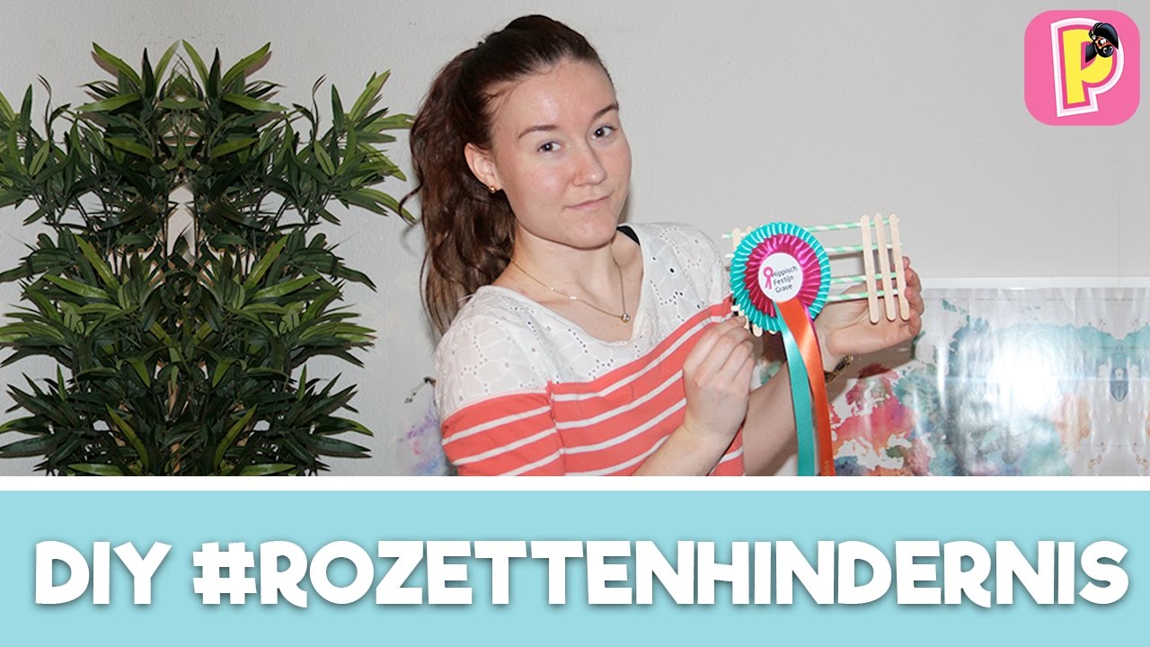 Felinehoi  maakt rozettenhindernis | DIY | PennyTV