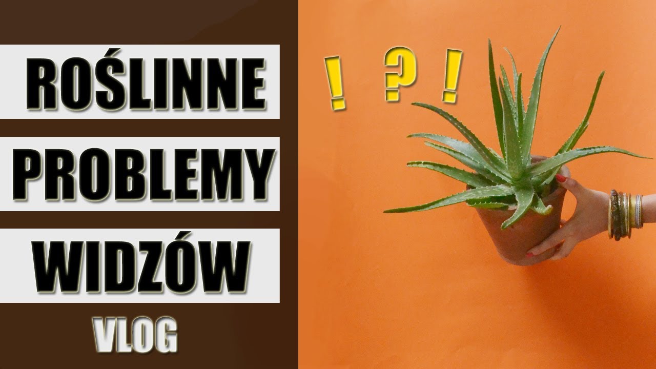 Odpowiadam na pytania widzów. Roślinne problemy. VLOG