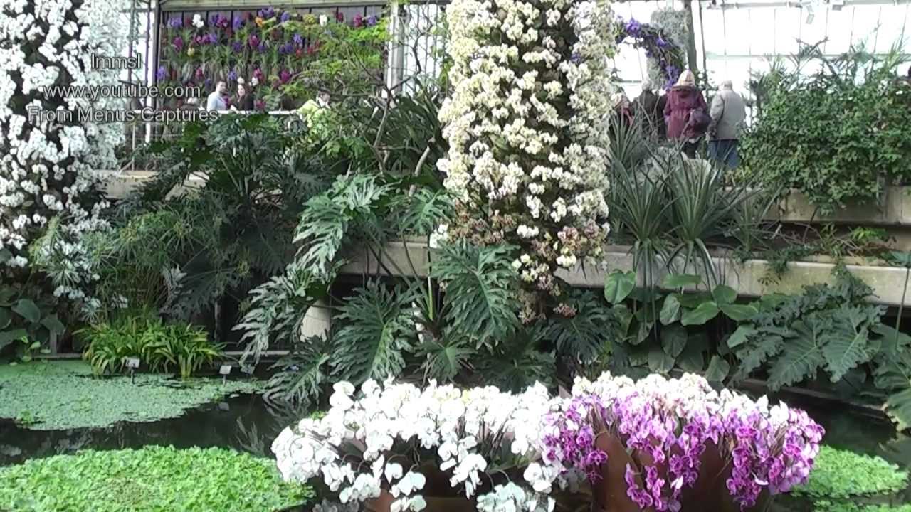 Orchids at Kew Gardens ✿ A Must See Orchid Extravaganza With Bromeliads ✿