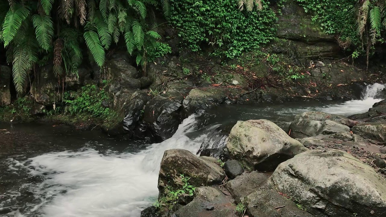 River Flow for Falling Asleep Fast, Anxiety Relief