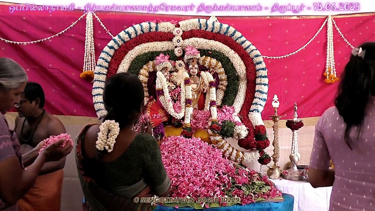 கண்டவர்க்கு கனவிலும் - நித்யகல்யாணசுந்தரேசுவரர்-ஒப்பில்லாநாயகி  திருக்கல்யாணம்-பவானி தியாகராசன் ஐயா