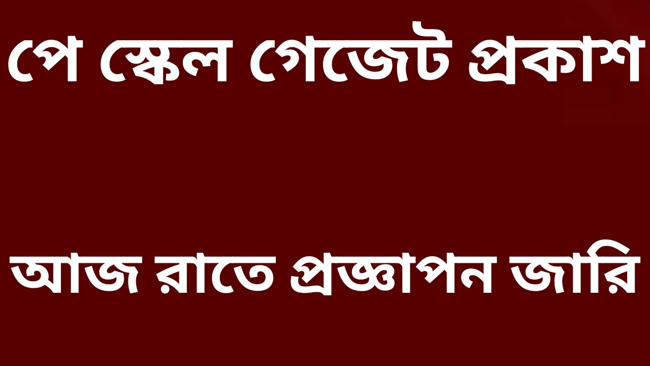 বড় সুখবর! এই রমজানেই চালু হচ্ছে আংশিক পে স্কেল—অর্থমন্ত্রী আমীর খসরু