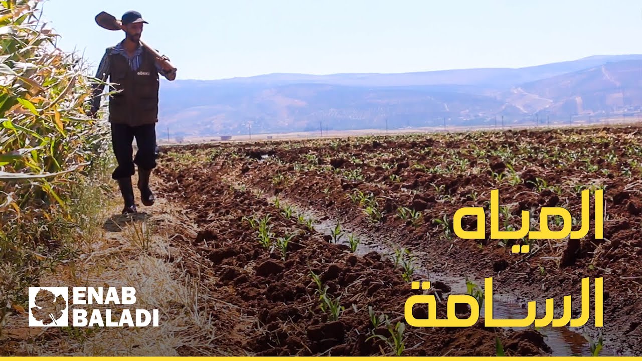 مياه الصرف الصحي تزيد من الأخطار في الشمال