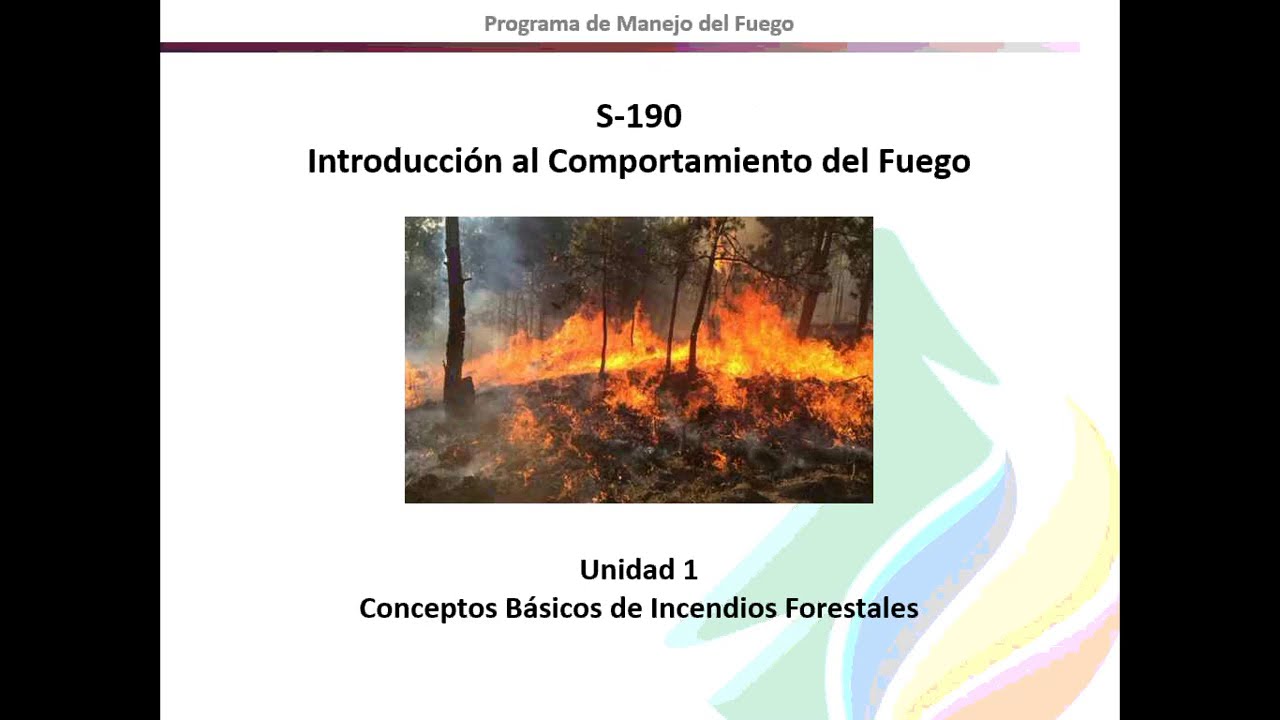 UNIDAD 1 Conceptos Básicos