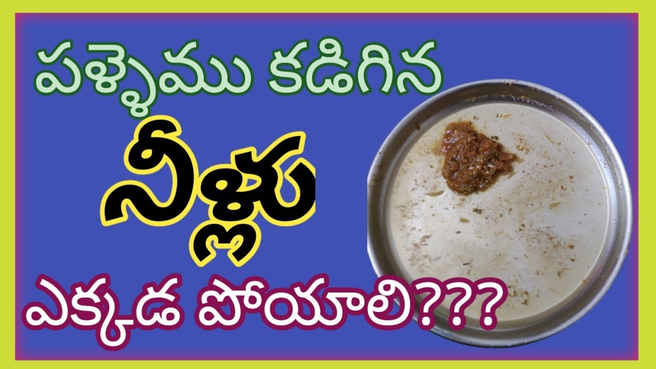 పల్లెము కడిగిన నీళ్లు పోసేటప్పుడు ఆ తప్పు చేయొద్దు | vastu tips home |
